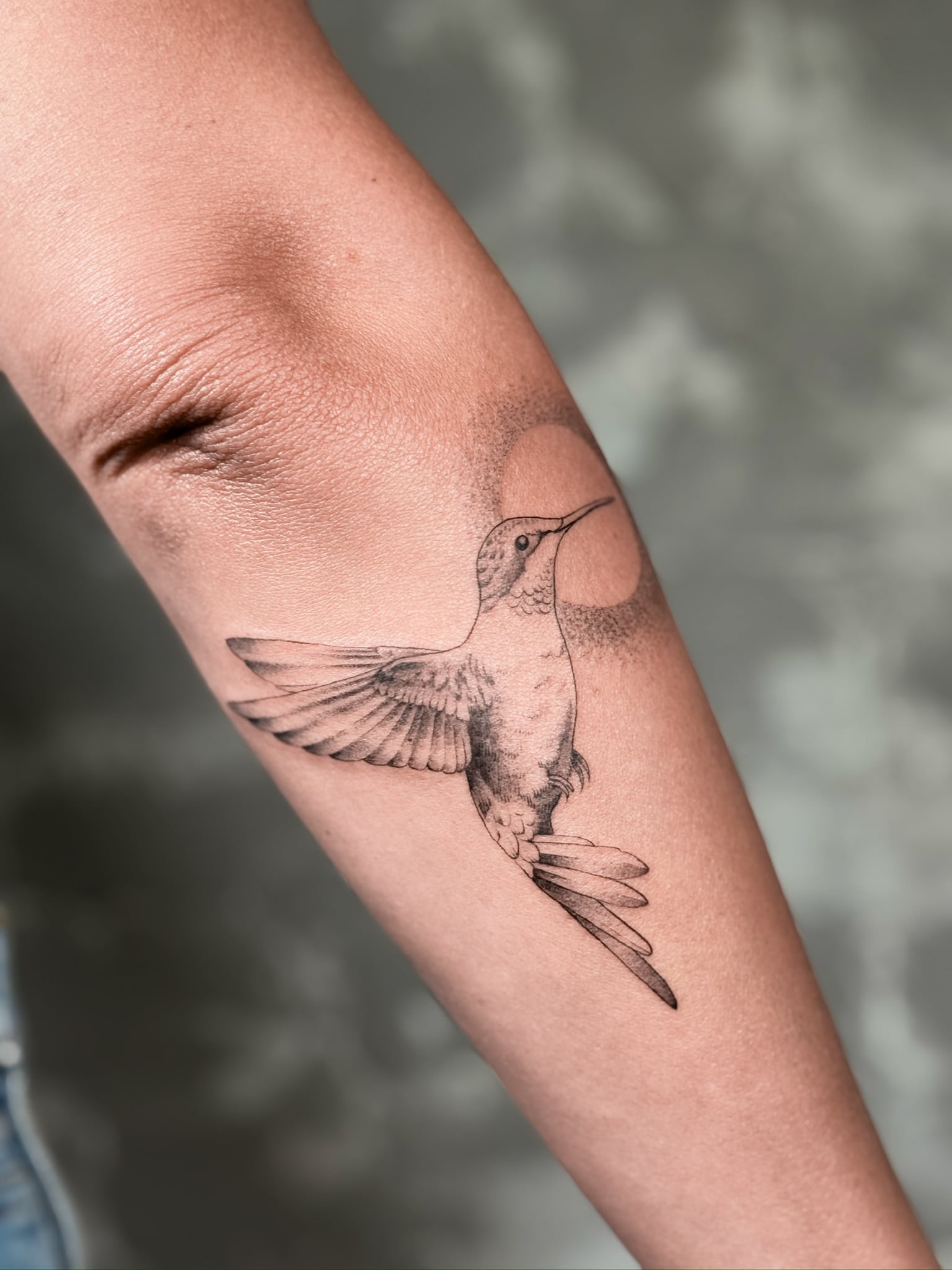 Hummingbird header